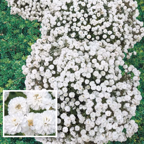 d6f02e7b57289c9c252c13a4981673be