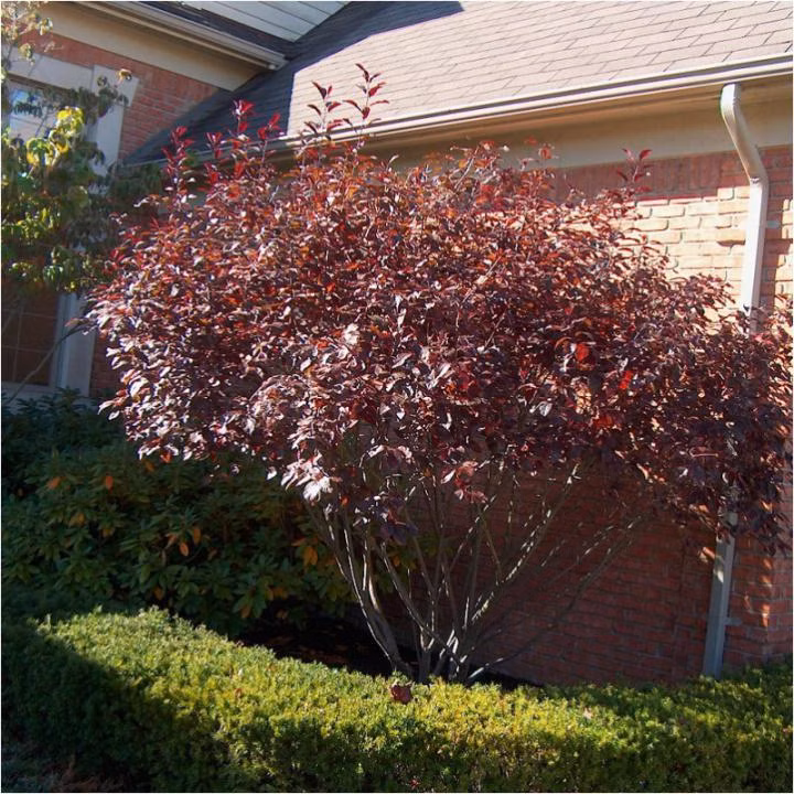 d706253006325b29832e0b5f7b52aa40