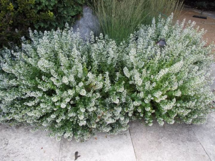 d710d80328f35462733362b8c3380167