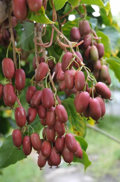 d735a1a2171b06487d82e9c1483b8e85