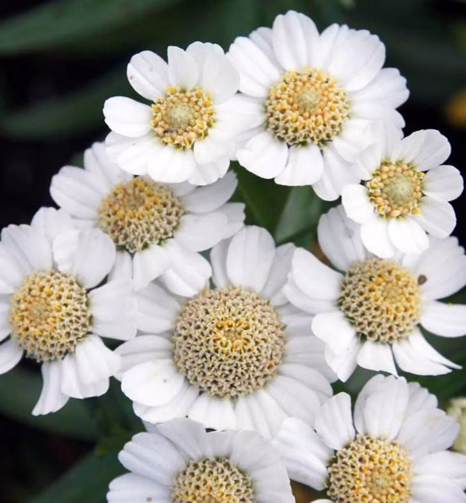 d75392e1631fd0541301173d39baa8a9