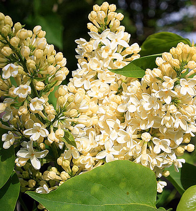 d764e385bb5aa61d4af806a9fb41223f