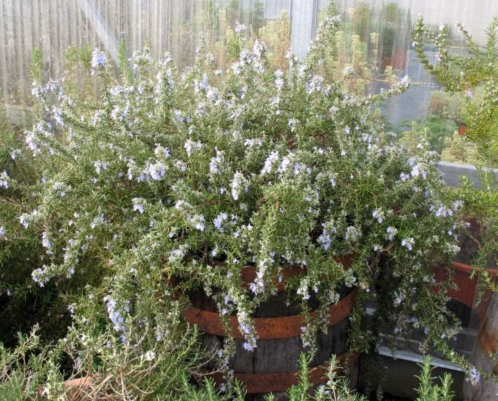 d7a2304ba174f56bd06b44f9fa5de394