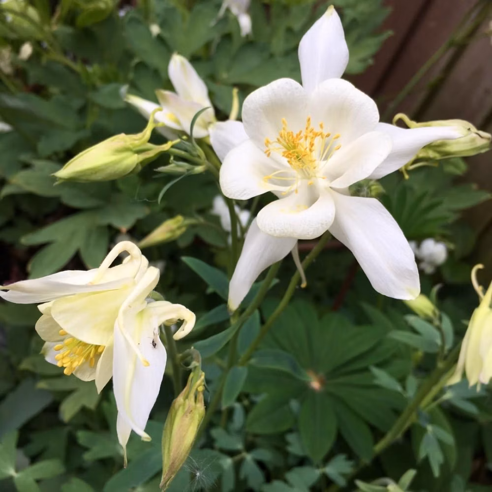 d7f8bed9b5676334f18c47e19d954d8f