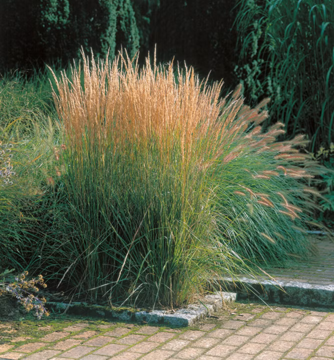 d82b66d99b8f36d3f750f6811530bca3