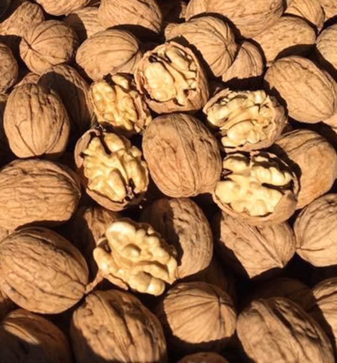 d84a7383390d66855edf17231fb11250