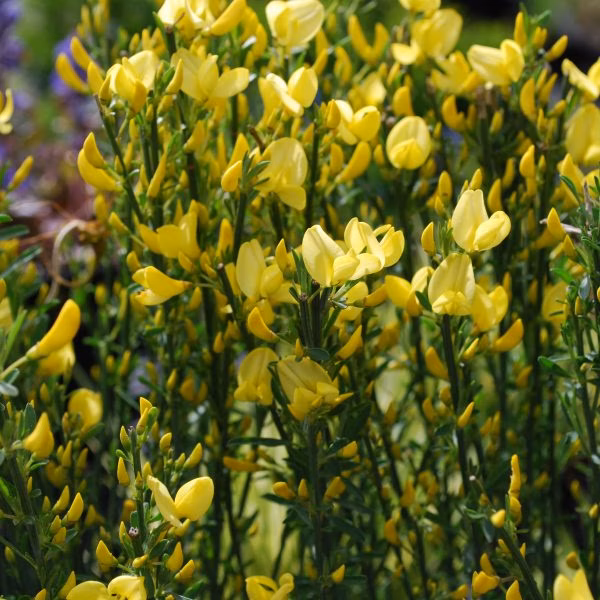 d85629bbdb3fd992ba4ff80139521ec9