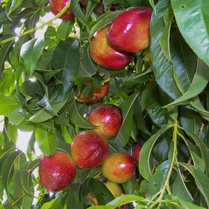 d8796b430b9f2098a49a8cc469c93bea