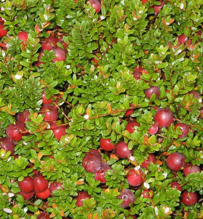 d87a927963ccb9f9feb6439ac5227395