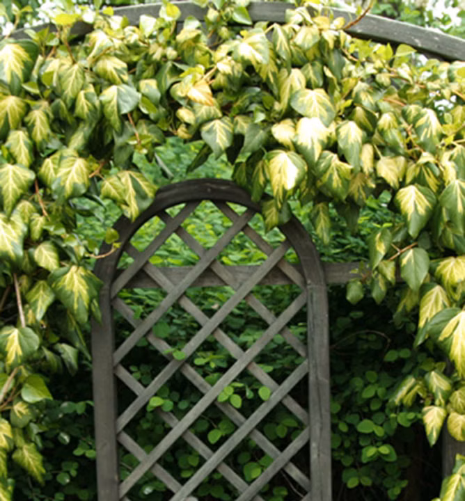 d881de10da76d33c0be8d47fb49f78a1