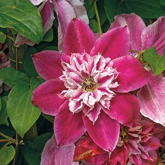 d88355ee2042d1ec183940a9e911e36b