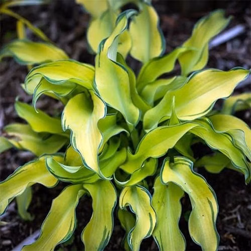 d8a9d26657ff86c504d10834b5c4a3e9