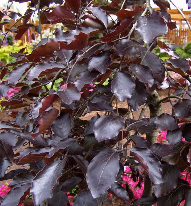 d8f2dce90d5d928b934e8e696588b295