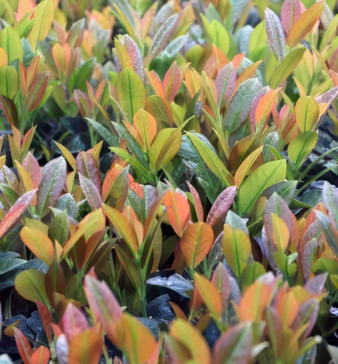 d9032e047f60b9dbddb01a33a9ebc469