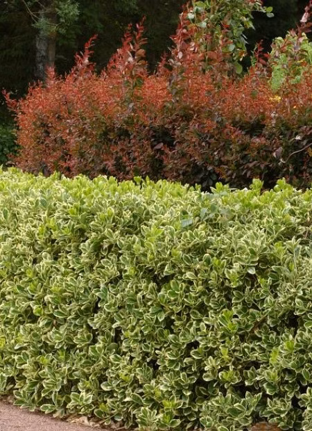 d911ecad52eb99580204b171f016016e