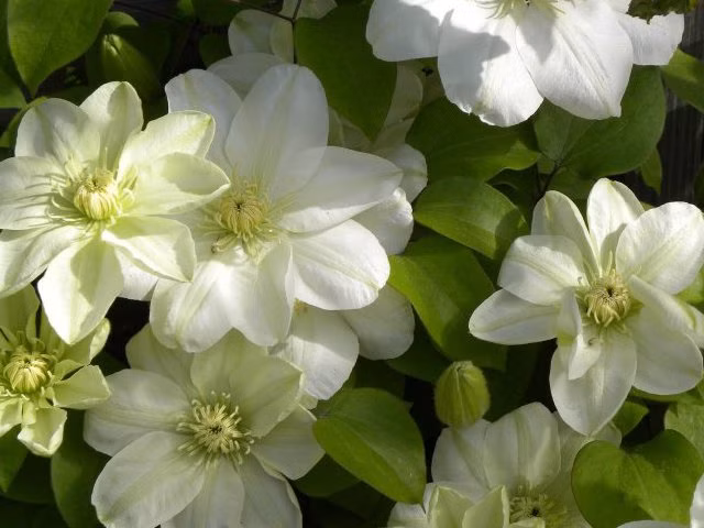 d92a874f53bb278e729f3e7abd465b25