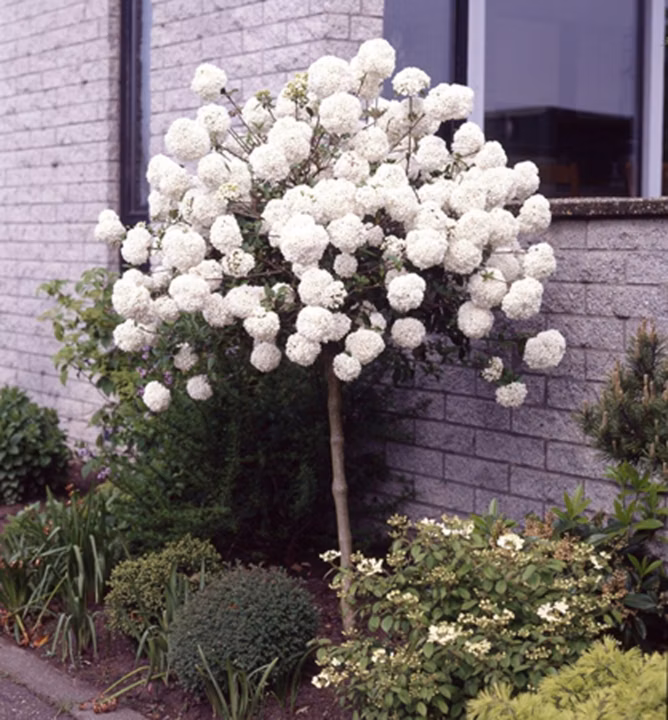 d936d6a61b17236685570159abe09d23