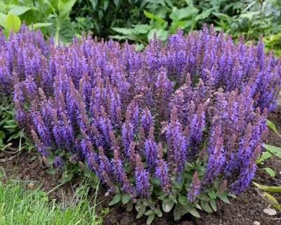 d961e943131cd15c5bdd20d67204a201