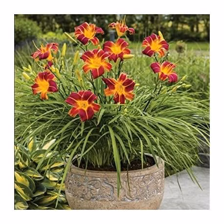 d993d8b768f3ec85b349f0fcfbe48438