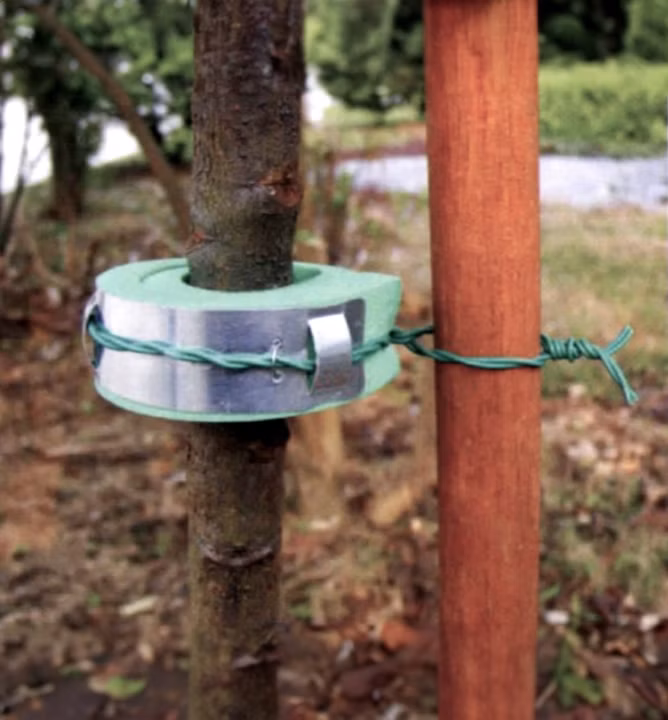 d9bad4886857987aed22a99f3851e5a0