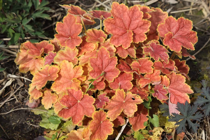 d9d96373f439c118fec751e26302d68d