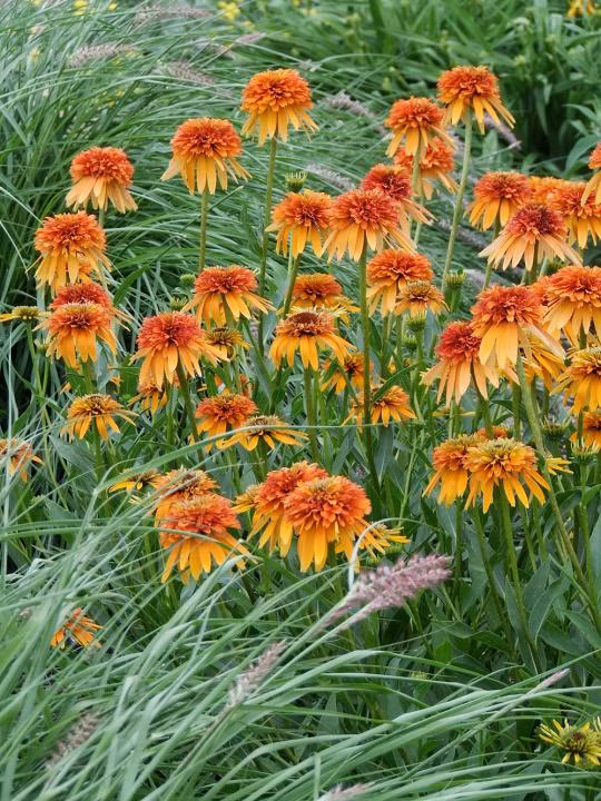 d9ee5256bfc47d8533c4ae0c7e89ecc1