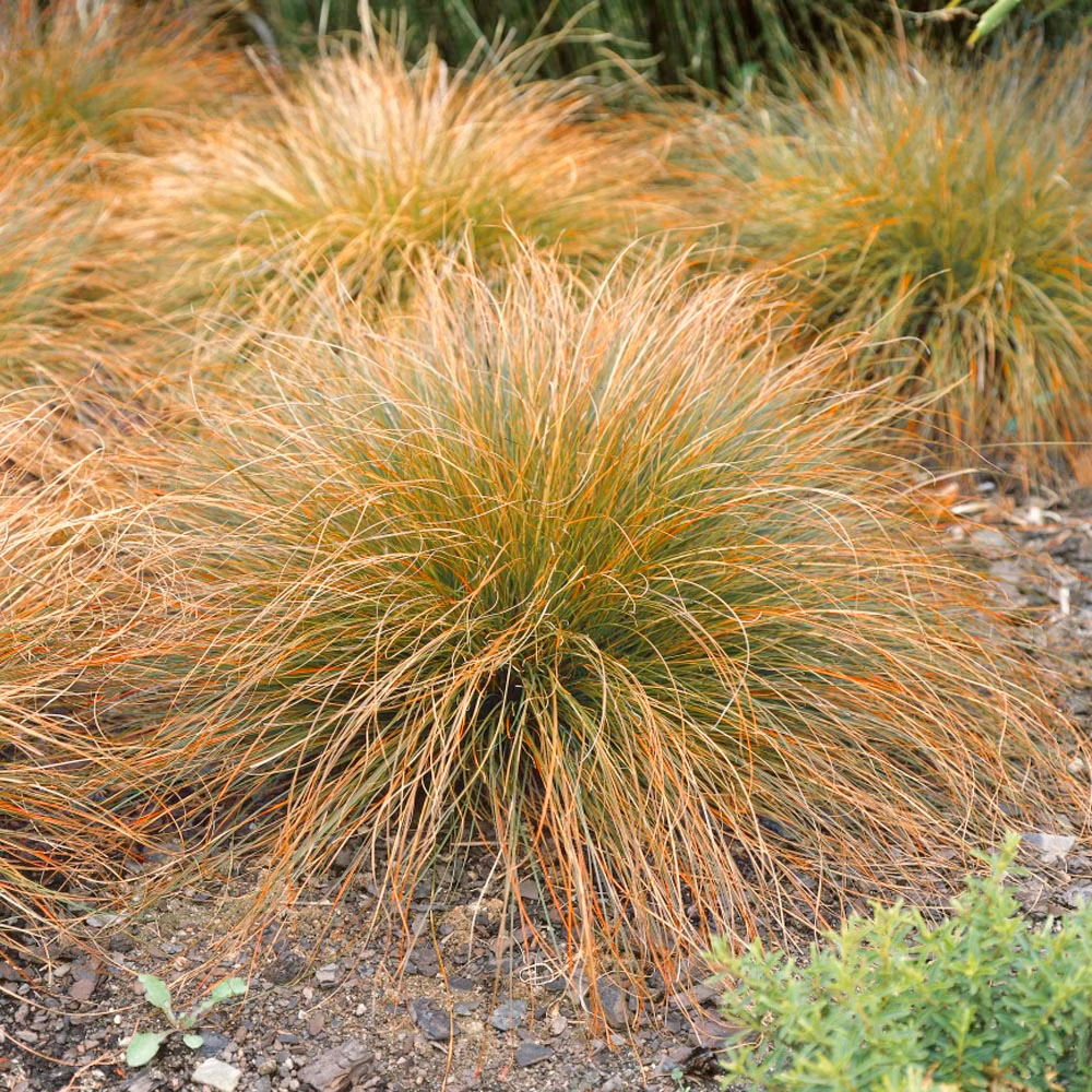 da0d6cd682b2cd6cf4b4617cd37d40da