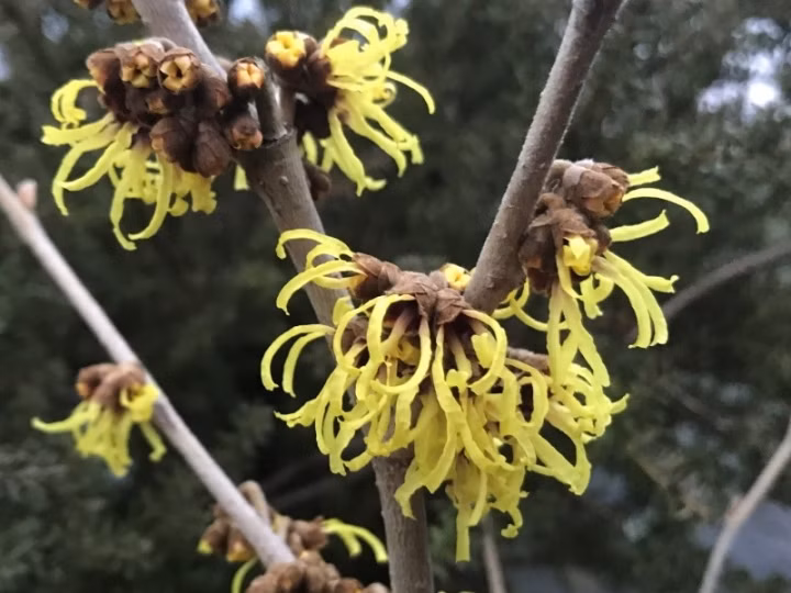 da153e2e39fa36f85f64d345150c1450