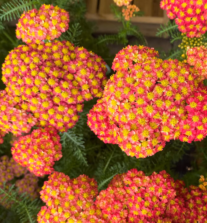 da3dc796200a690b9b02f913e2aca8dc