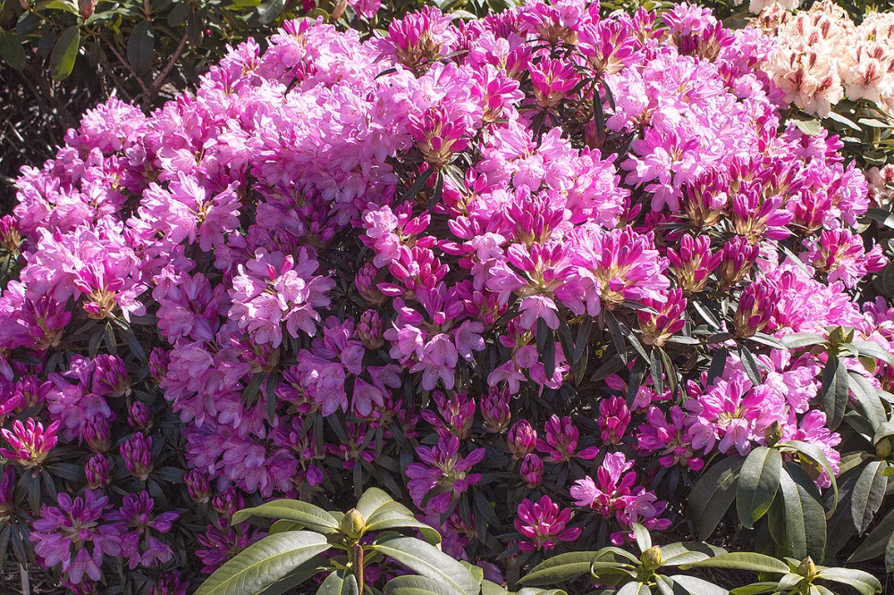 da97a69befdc9eb338386e5c6ce55540