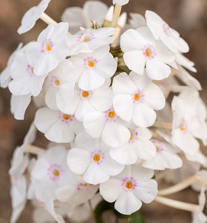 dacb84c2be43862169d125dc76357b70