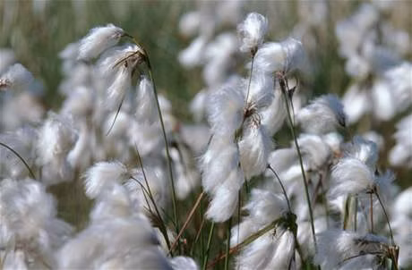 dacbc35c4dbd7d68c616486e2b62f72f