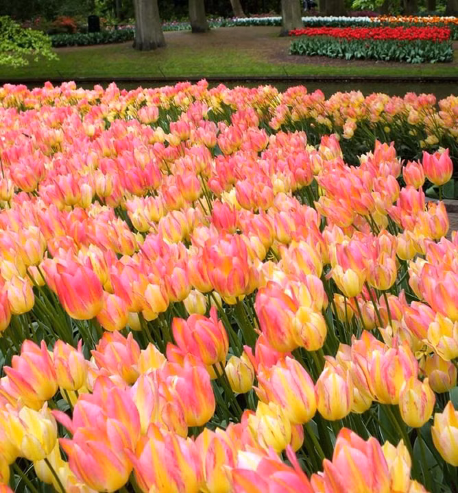 dadaec9552f7c0a1db048e803cc0c88f