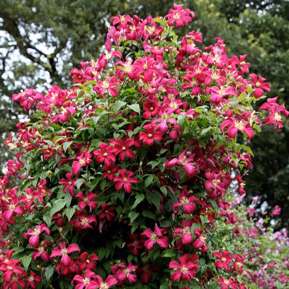 daeb588a7eebe6b62681bdfc497f6d95