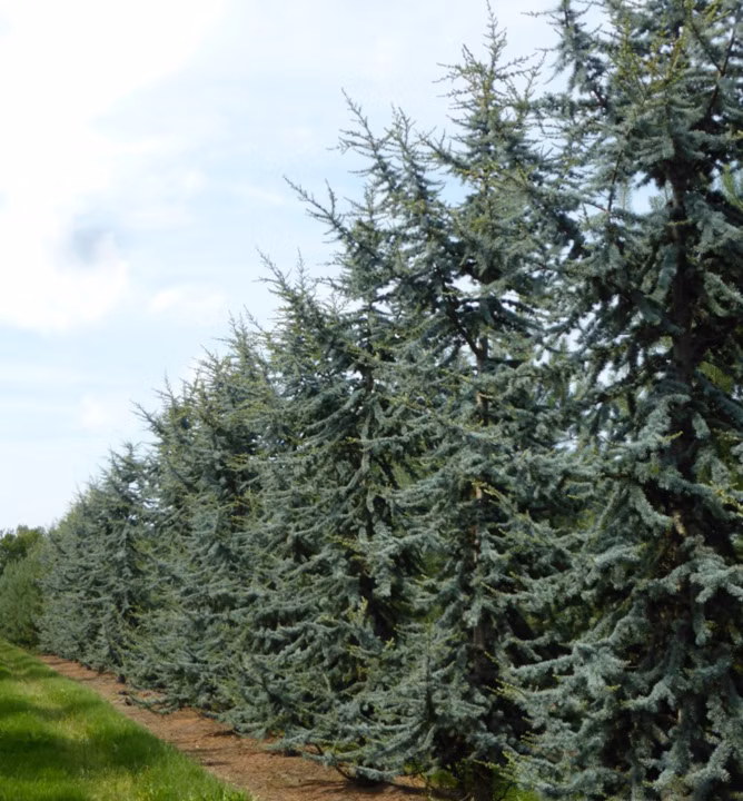 db5a80b2cb46d953e2b2d5423f1134d5