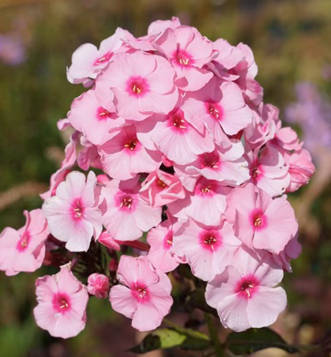 db6749a2ad16b86b5ae41a9ac13341ce