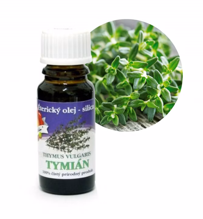 db6c3aaaa6496000b3550c9133b5587d