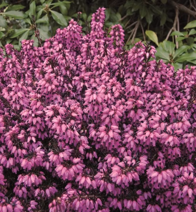 db7186eafd56b203867051f9f0457968