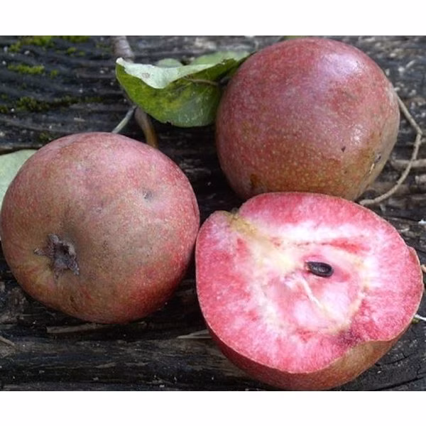 db8bf5b1bdda652738eb82dcddde504d