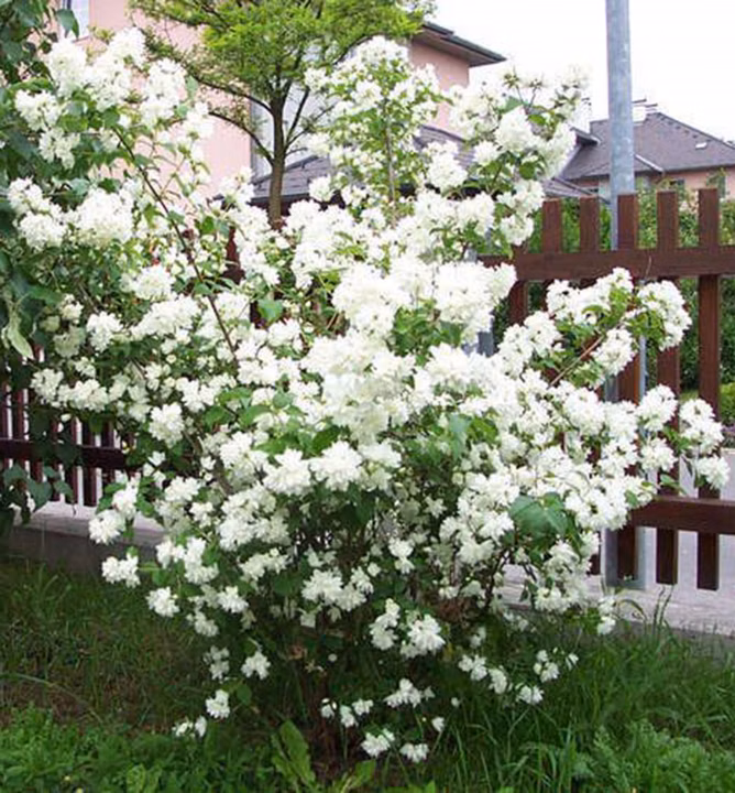 db94e3788d4c6b38a37f24686397f0ff