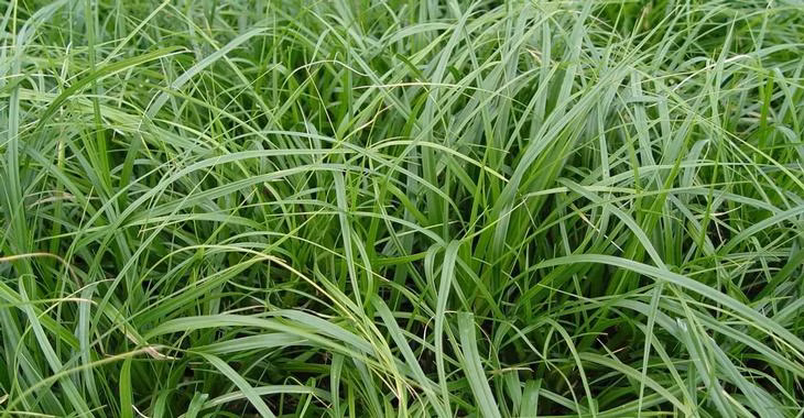 dbc5dbff19e1f27b1568fdcf825c2b12