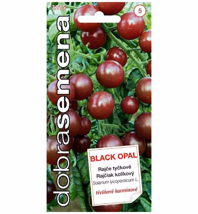 dbcb507a2e89e31aed0e73bc7a2286d6