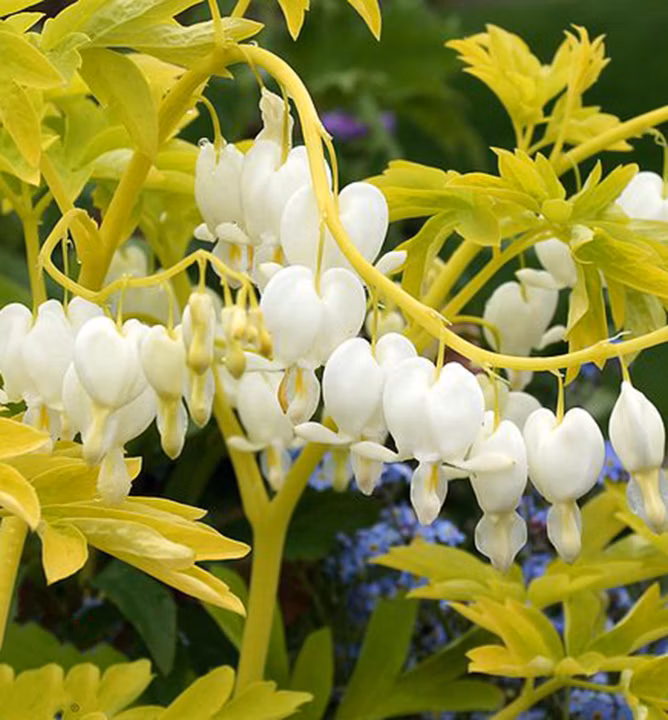 dbe0c73cfd107e2a32b4176f5bdead88