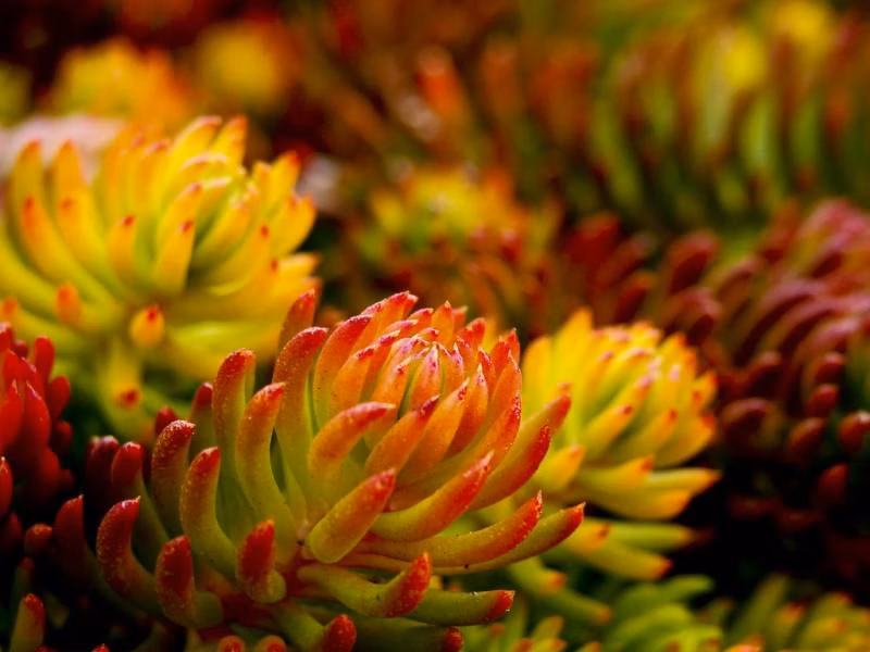 dc7d2fd90f42ba2f028cef750987b13d