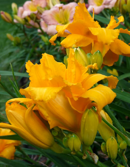 dcb7d3c02750444884e409deebcf5792