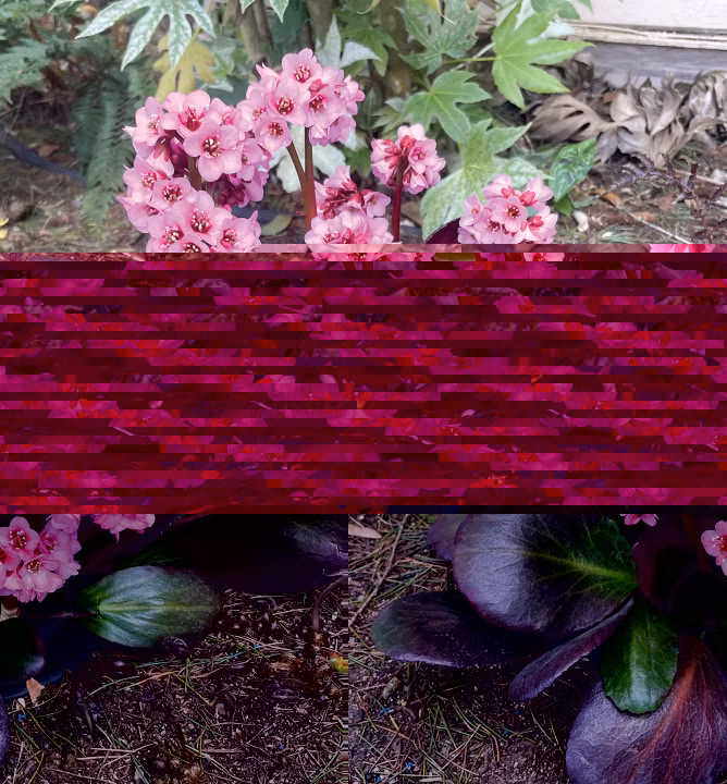 dcbc92b9a5b2b212bbf52523f8621f34