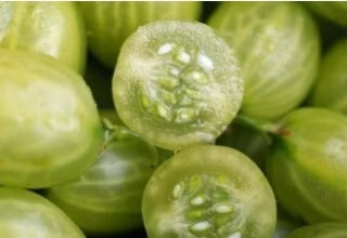 dcf9d91a0e04f1746c910e66452d1e9a