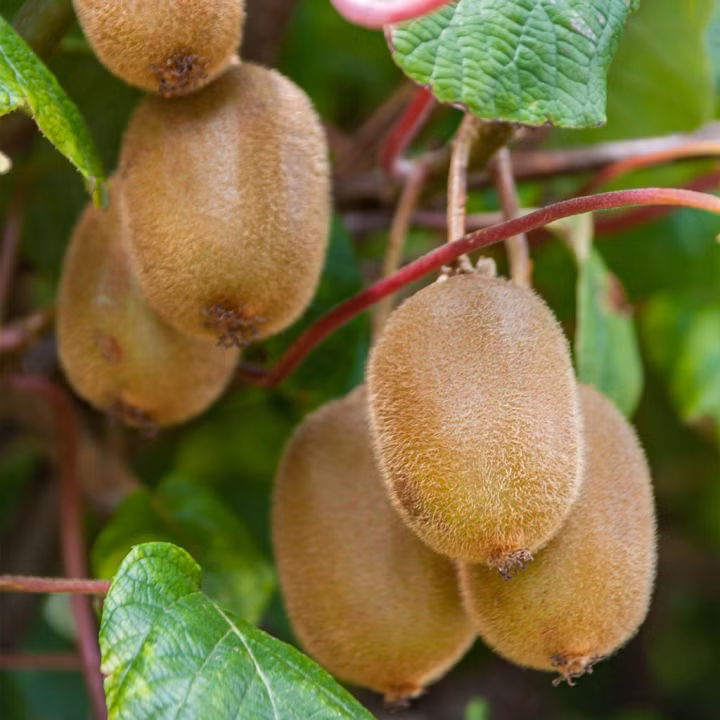 dd2b351f46ae4ec74117131916c50398