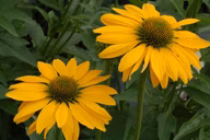 dd3637b25a1d2d6bca49b8f1aaa37c90