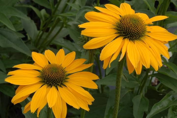 dd3637b25a1d2d6bca49b8f1aaa37c90